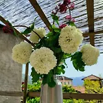 Appartamento Court House Sonvico