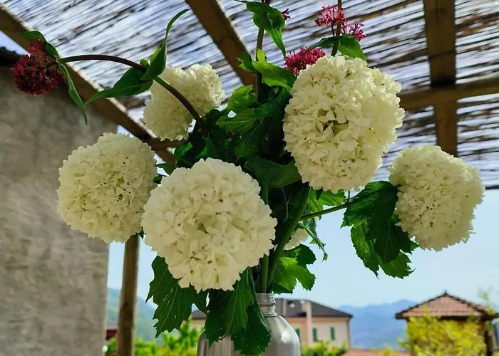 Apartmán Court House Sonvico